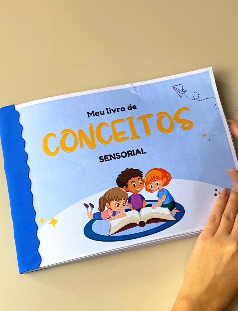 LIVRO DE CONCEITOS SENSORIAL